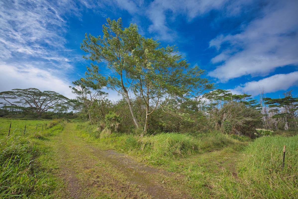 15-230 Lot 3-1 North Road Pahoa, HI 96778 - Photo 9 of 20 a view of lake view