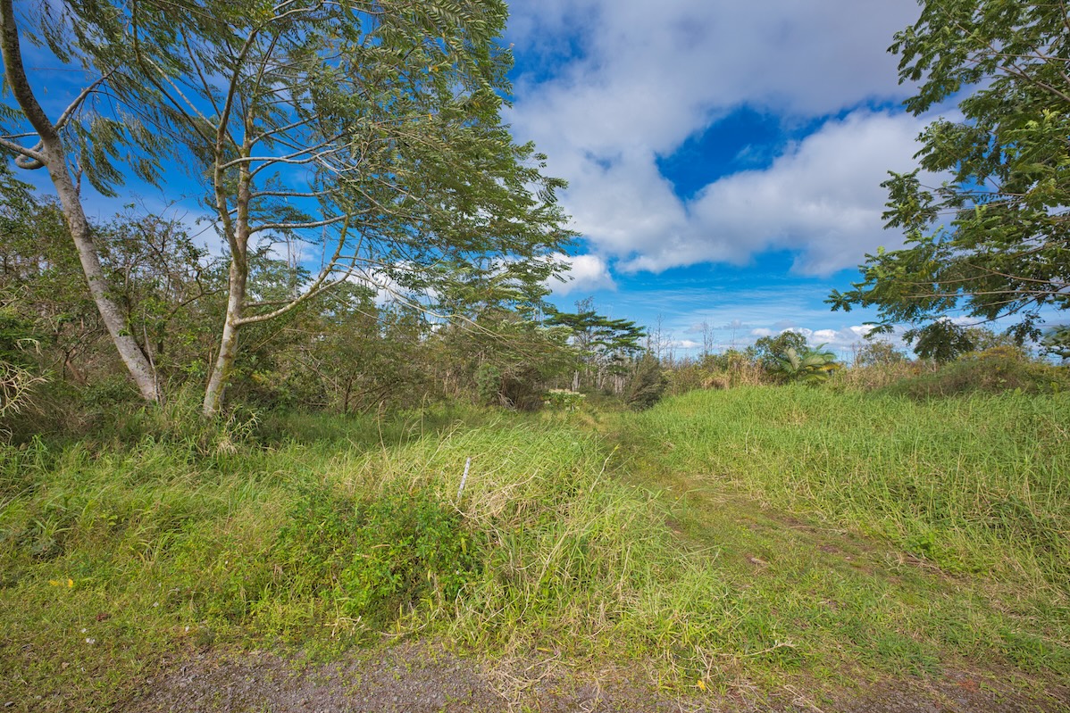15-230 Lot 3-1 North Road Pahoa, HI 96778 - Photo 10 of 20 a view of a garden
