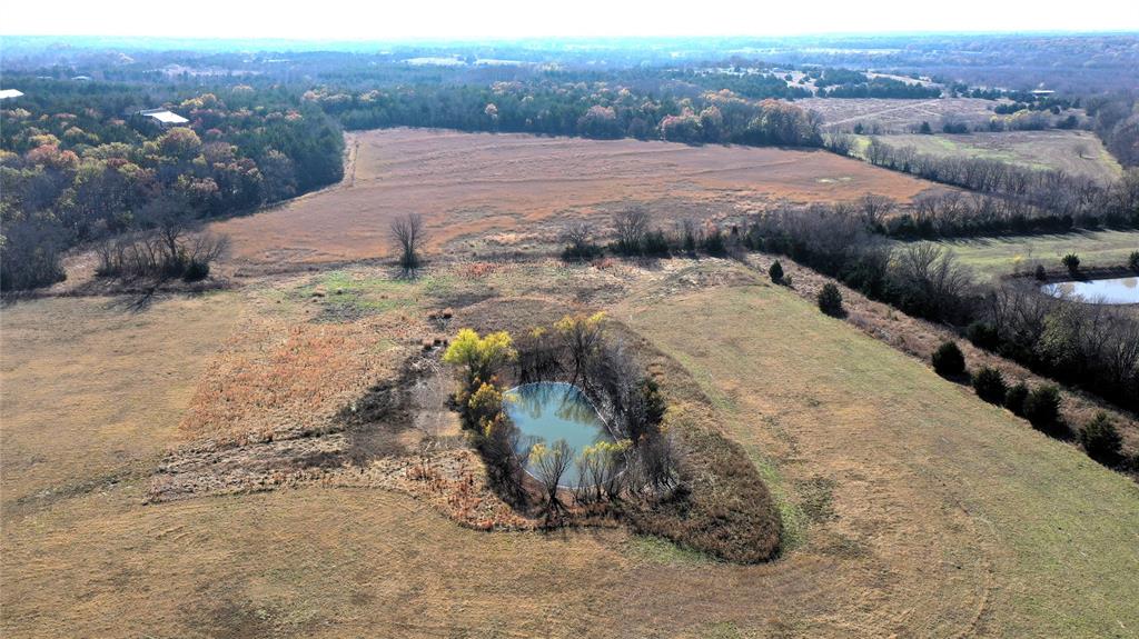 Tbd Pilot Grove Road Whitewright, TX 75491 - Photo 13 of 23 a view of a dry yard with green space