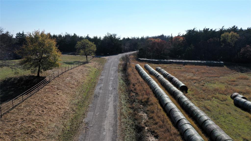 Tbd Pilot Grove Road Whitewright, TX 75491 - Photo 23 of 23 a view of a yard with trees
