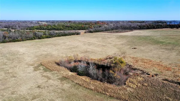 a view of a field with an ocean