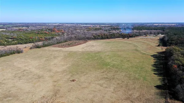 a view of a dry yard