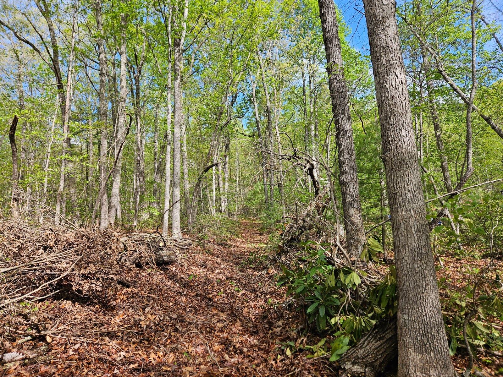 0 Bradshaw Road Salem, VA 24153 - Photo 2 of 4 9.0576 Acres