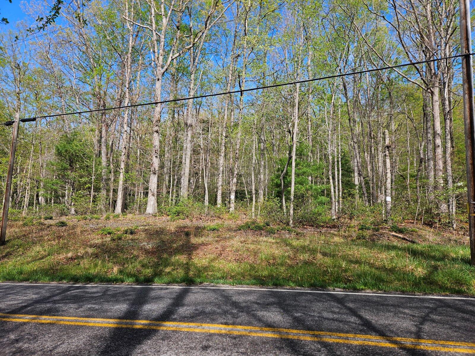 0 Bradshaw Road Salem, VA 24153 - Photo 3 of 4 road view