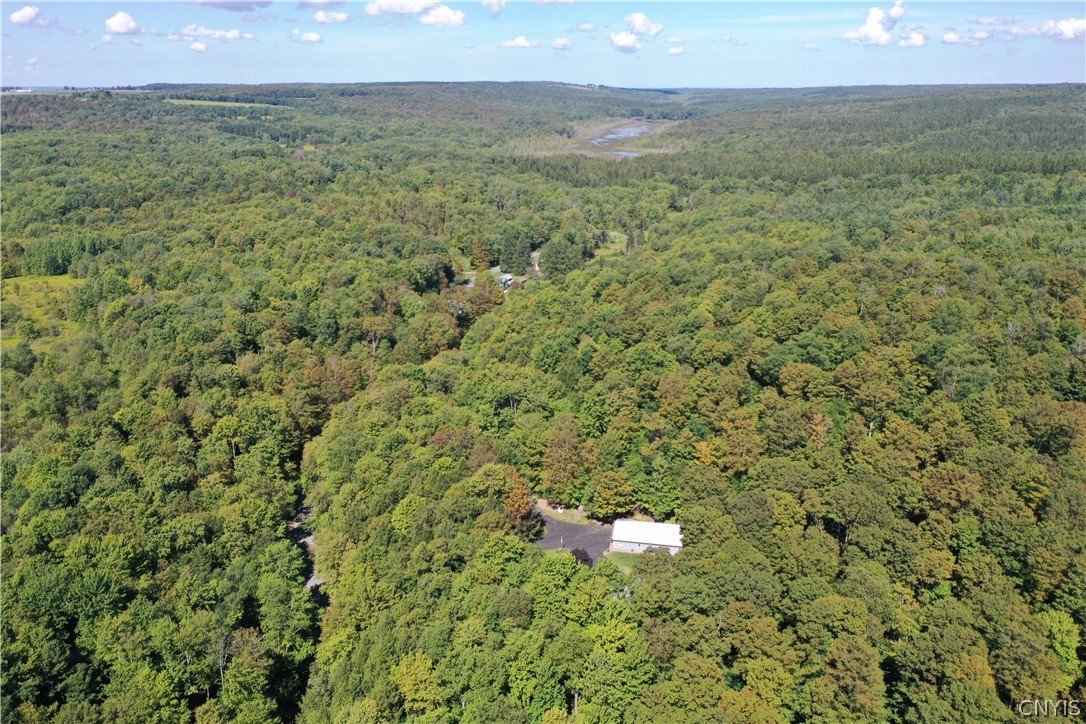 2332 Bear Swamp Road Sempronius, NY 13118 - Photo 17 of 50