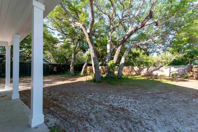 a view of a yard with a tree
