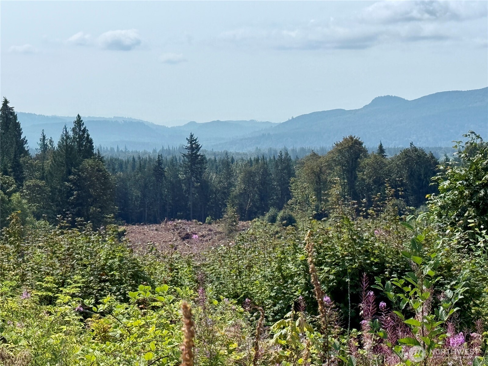 27423 Old Pipeline Road Monroe, WA 98272 - Photo 8 of 40 Gallery Image 8