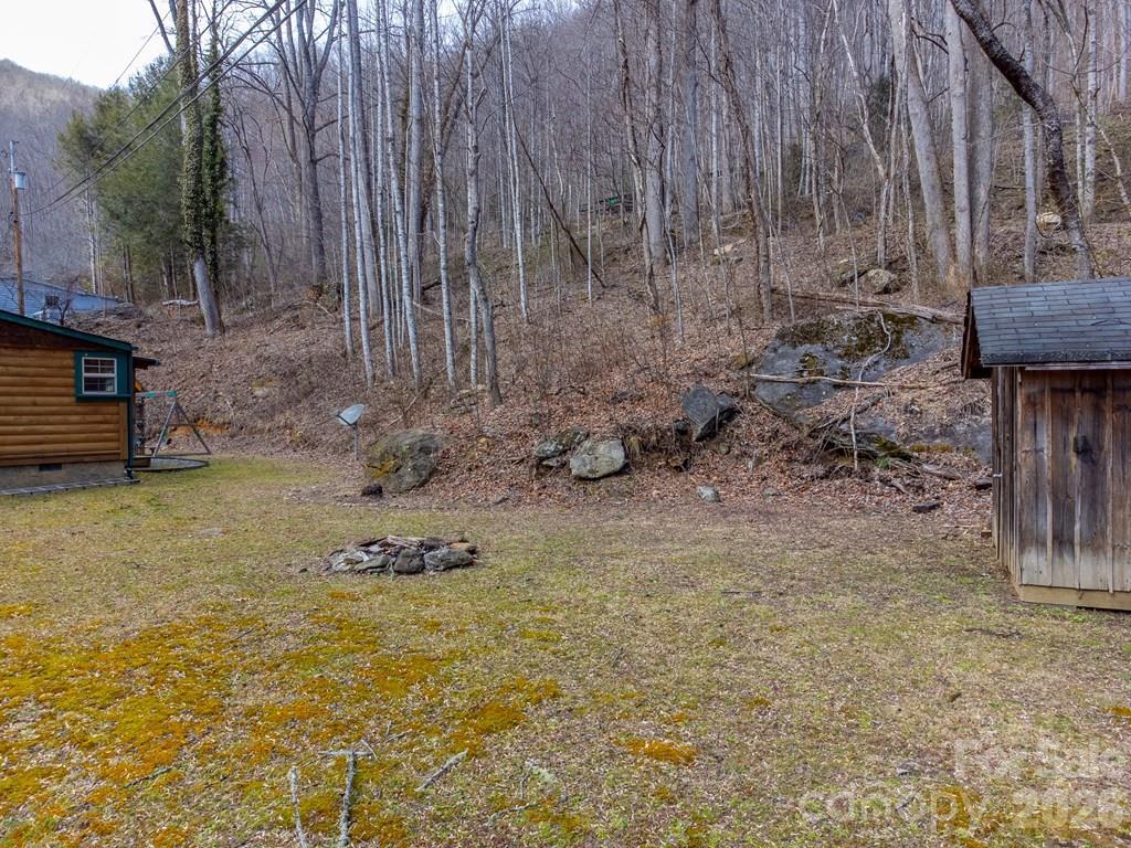1668 Buff Creek Road Sylva, NC 28779 - Photo 36 of 42