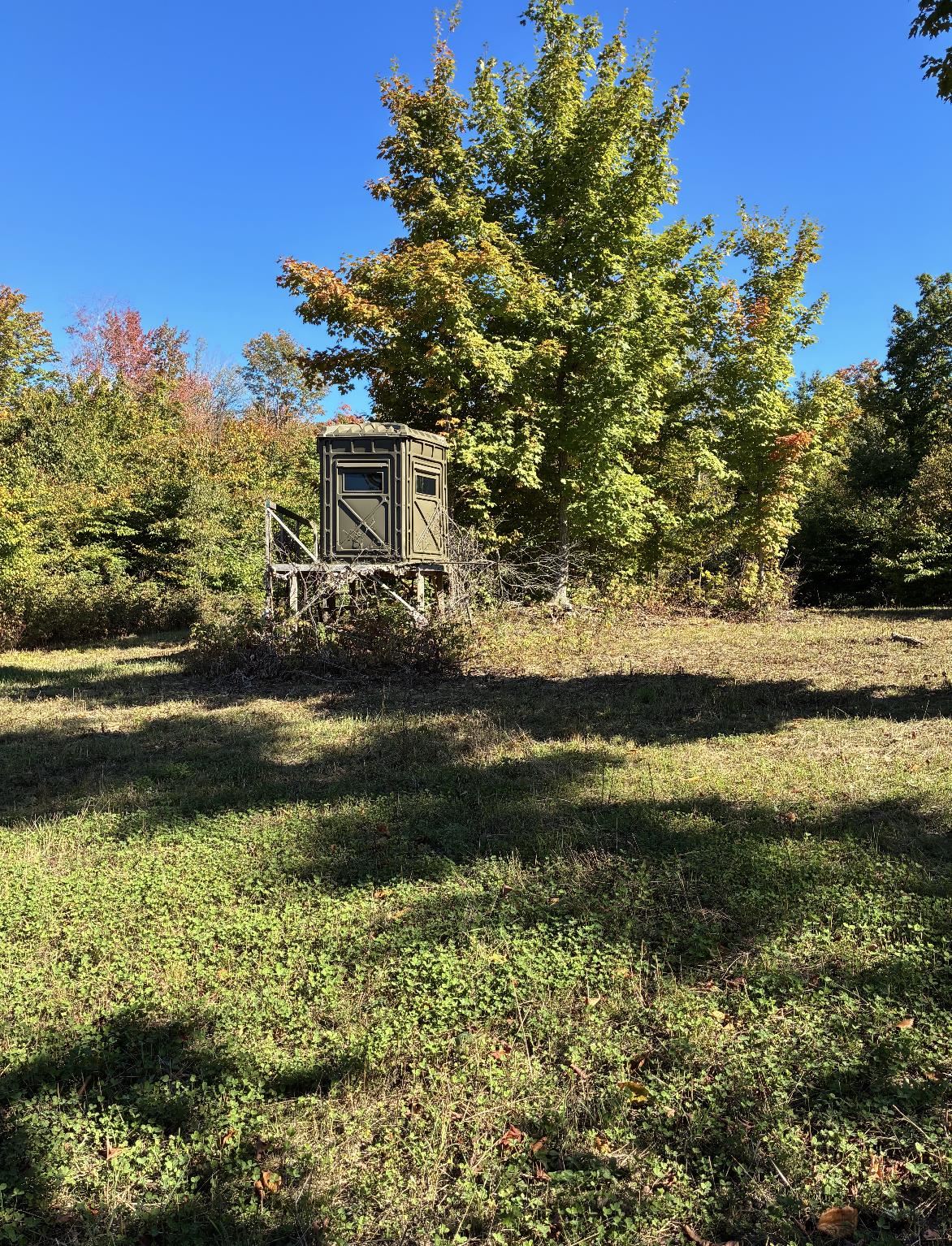 0 Henschell Road Fife Lake, MI 49633 - Photo 33 of 35 Gallery Image 33