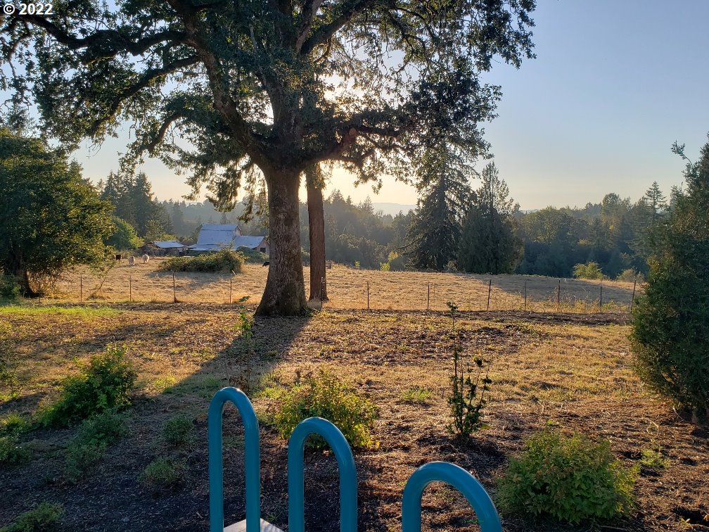 2810 North 3rd Way Ridgefield, WA 98642 - Photo 20 of 20 a view of a yard with an trees