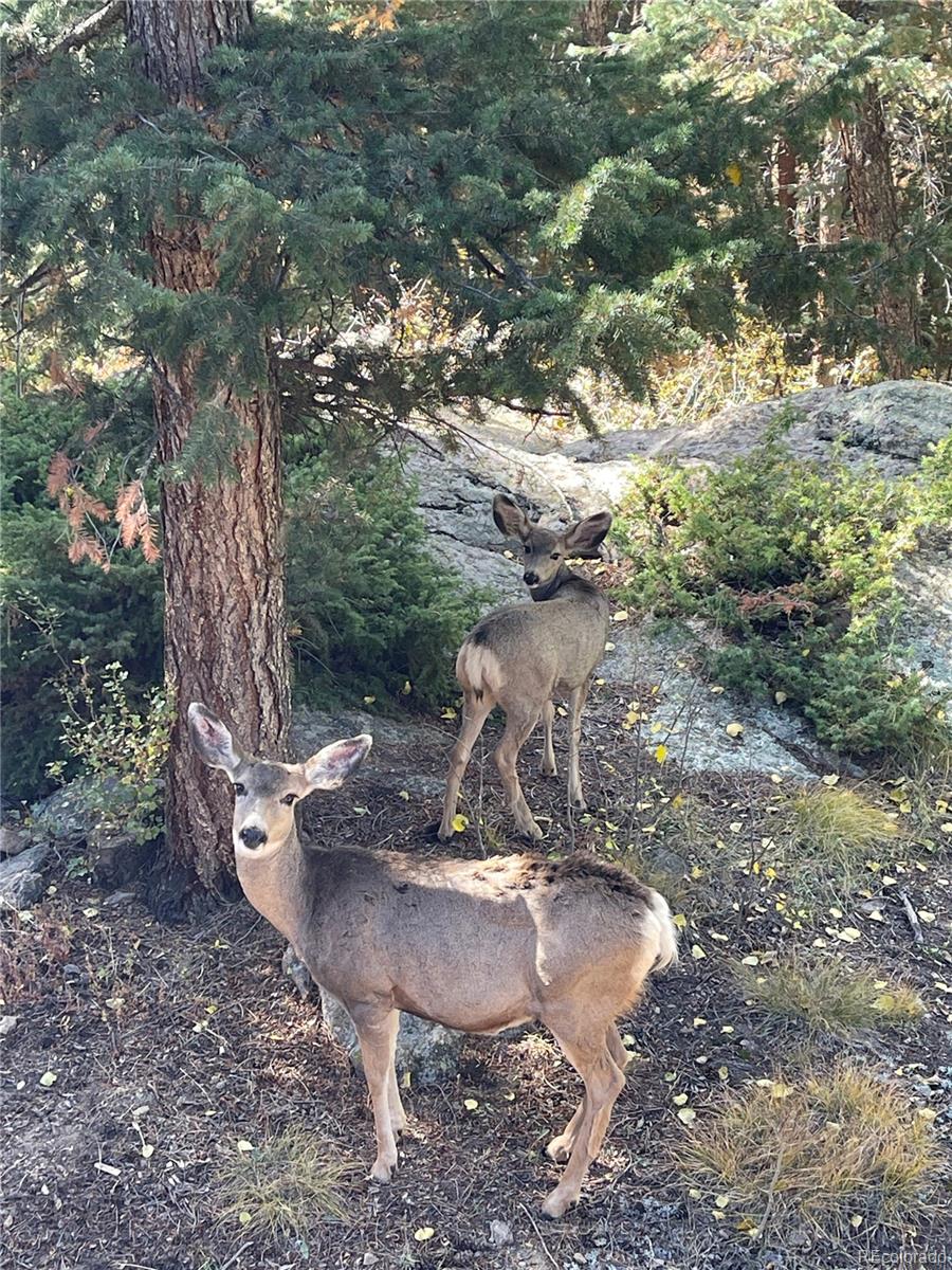 8959 South Hillview Road Morrison, CO 80465 - Photo 33 of 49 a view of a water fountain in a yard