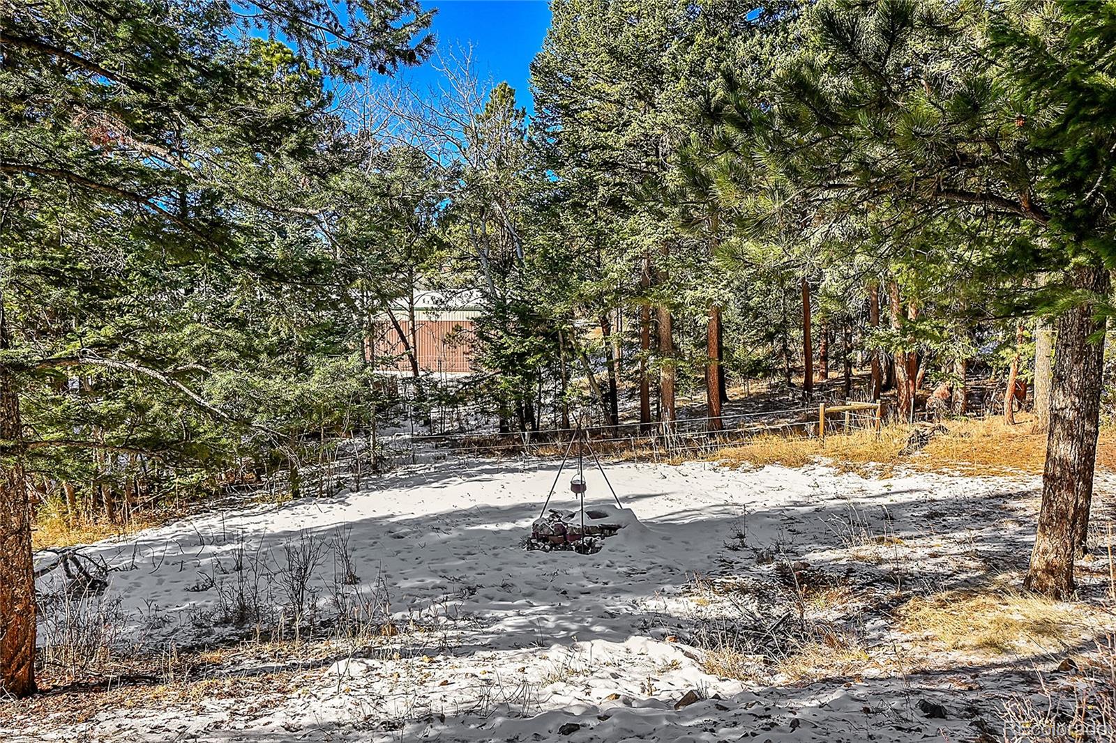 8959 South Hillview Road Morrison, CO 80465 - Photo 34 of 49 a view of a tree with a yard
