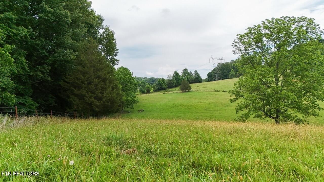 5 Frog Level Road Johnson City, TN 37615 - Photo 19 of 19 a view of field with tall trees