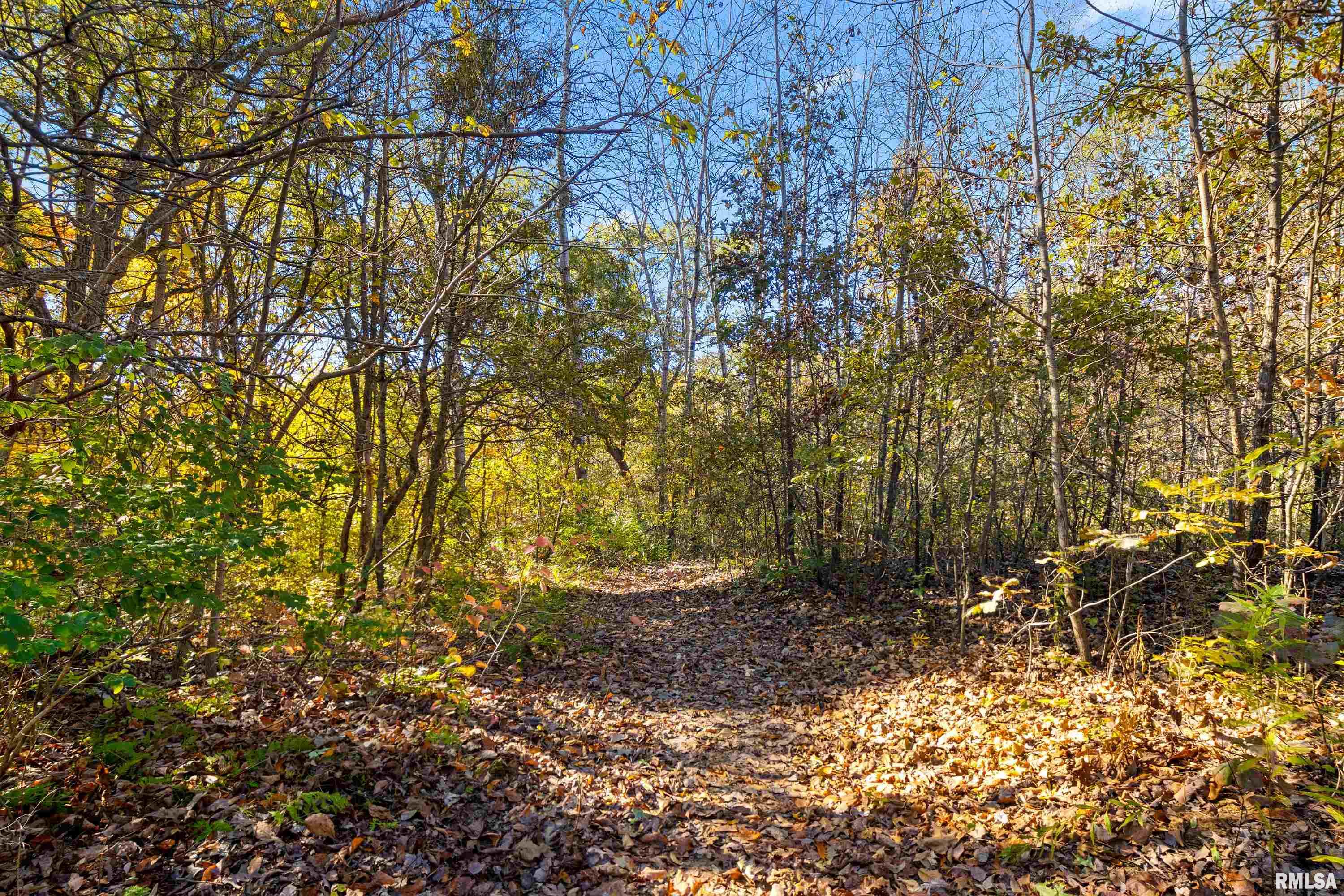 29353 North Bitner Road Glasford, IL 61533 - Photo 33 of 55 Gallery Image 33