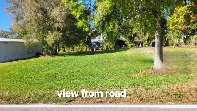 a view of yard with trees