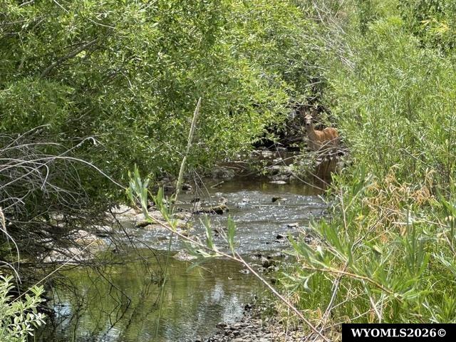 10 Bell Road Lander, WY 82520 - Photo 24 of 36