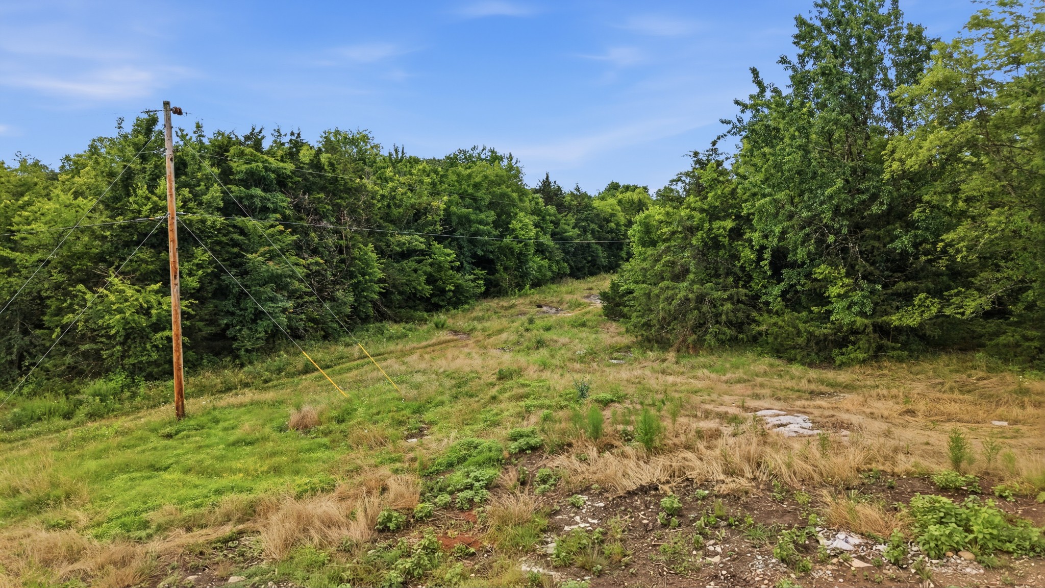 0 Pete Alsup Road Lascassas, TN 37085 - Photo 21 of 32