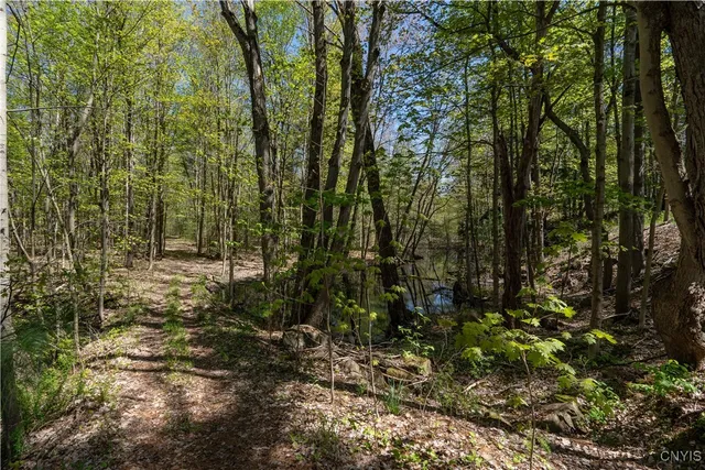 $260,000 | 9626 Highway 126, New Bremen, NY 13620