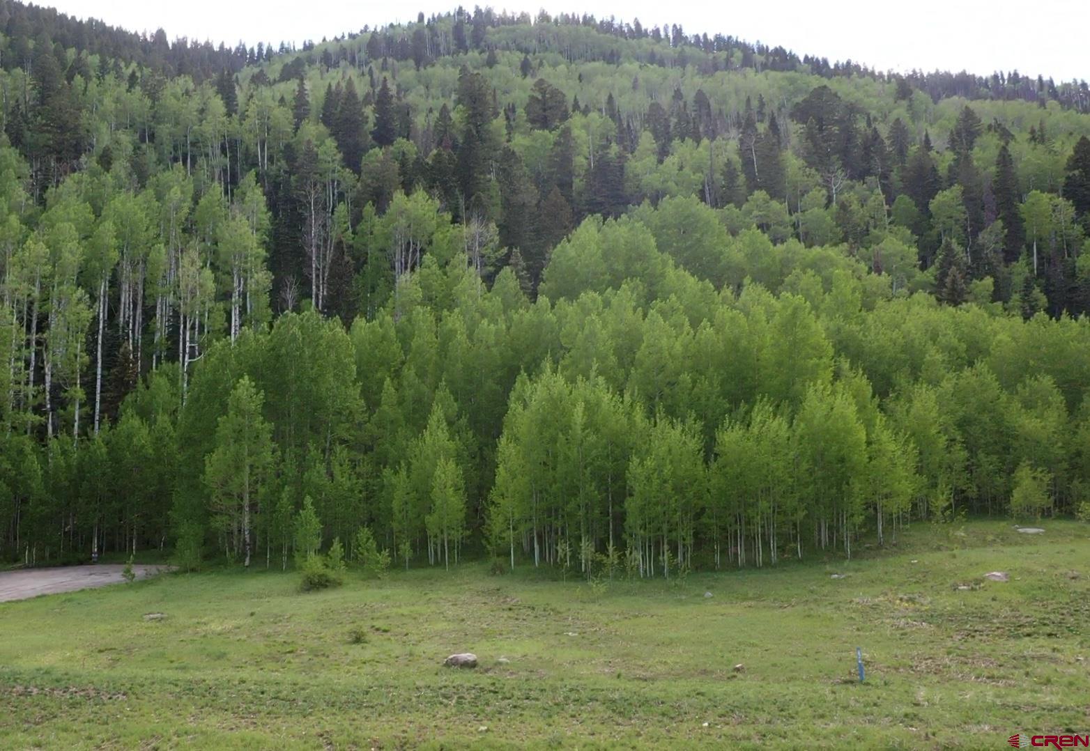 12 Meadow Circle Durango, CO 81301 - Photo 7 of 13 a view of a field