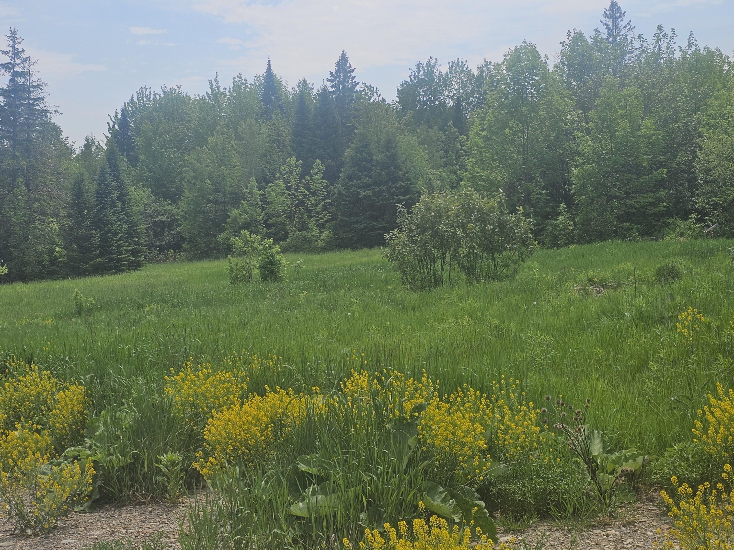 285 Retreat Road Hersey, ME 04747 - Photo 10 of 45 20260606_115501