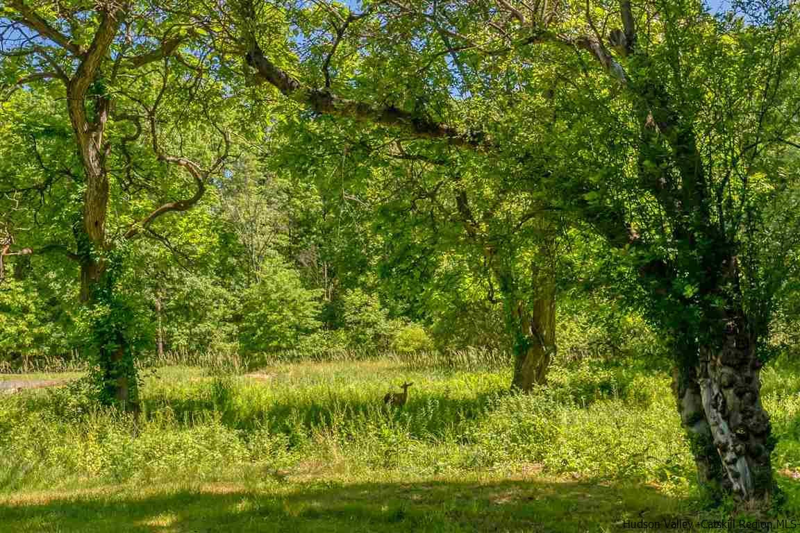 234 Cottekill Road Cottekill, NY 12419 - Photo 30 of 35 Photo 30