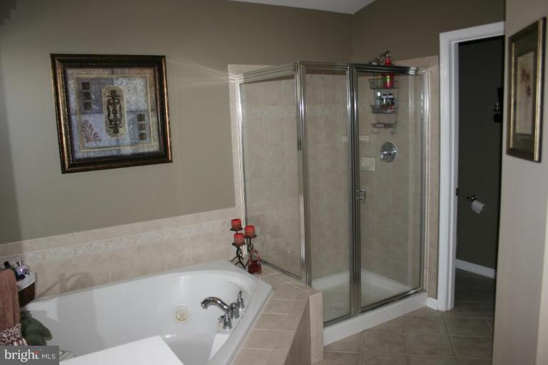 300 Stone Run Drive Rising Sun, MD 21911 - Photo 10 of 19 master tub and shower