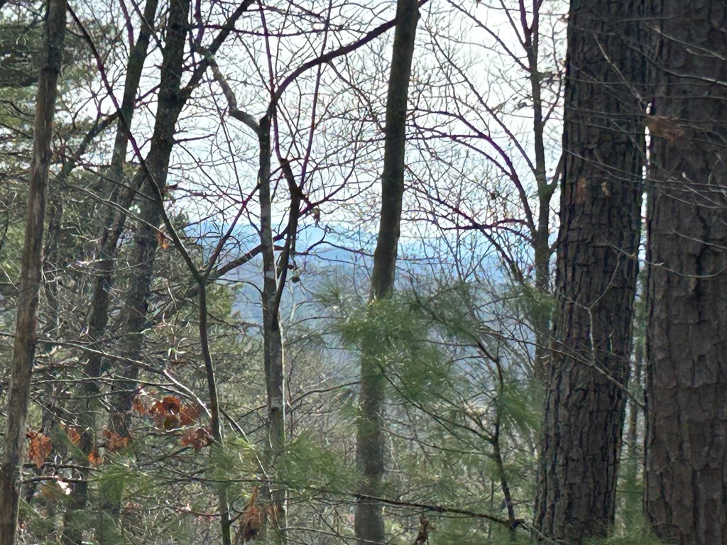 0 Ruthe Ridge Lane Murphy, NC 28906 - Photo 3 of 5 Gallery Image 3