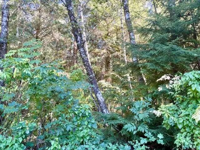 $58,000 | 1 Cedar Street, Wheeler, OR 97147