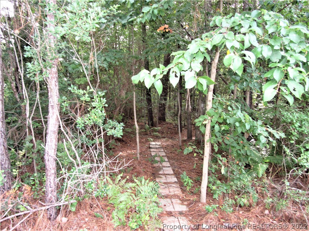 97 Valley Stream Road Spring Lake, NC 28390 - Photo 46 of 50 Gallery Image 46