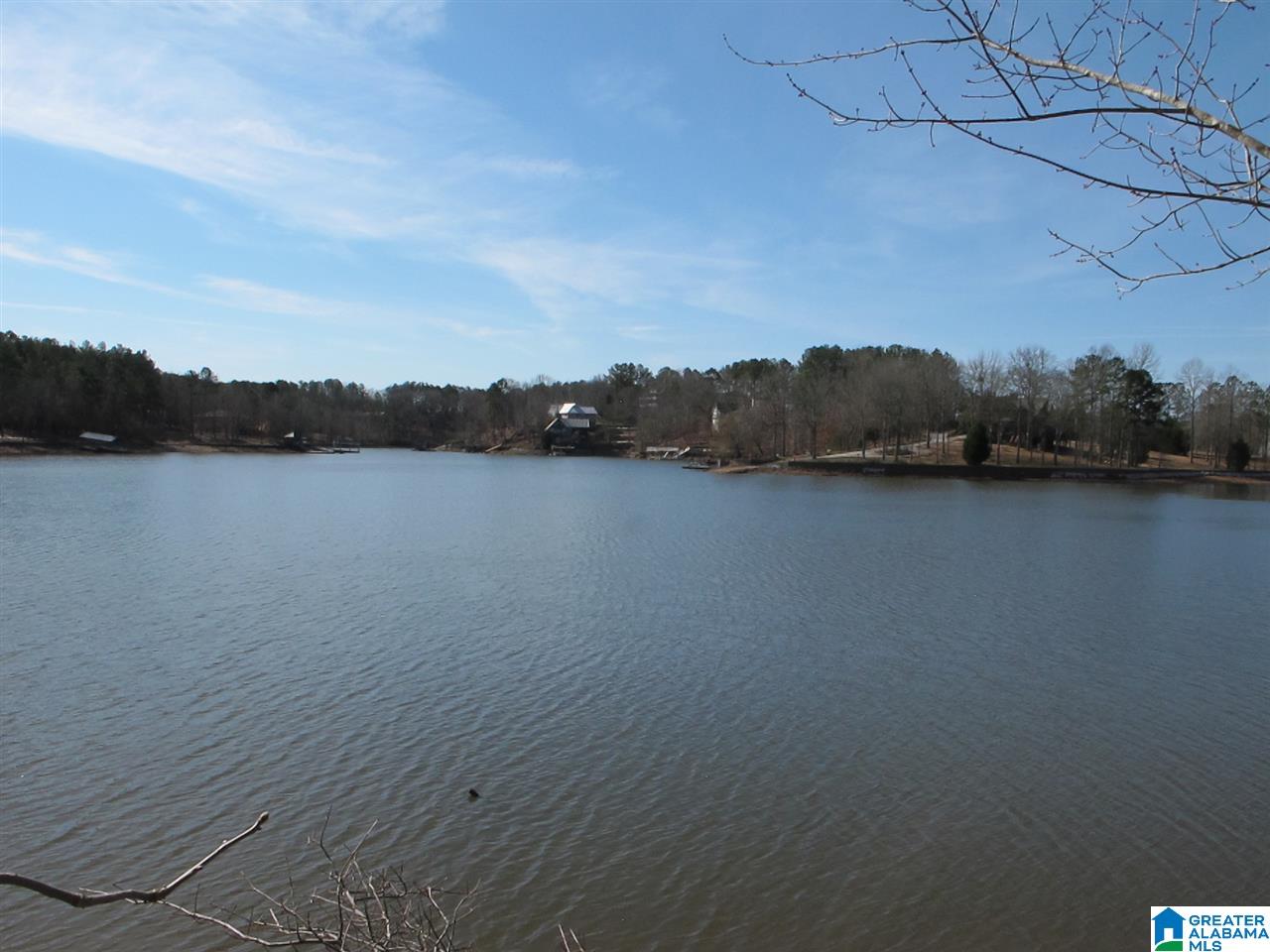 0 County Road 256 Wedowee, AL 36278 - Photo 2 of 8