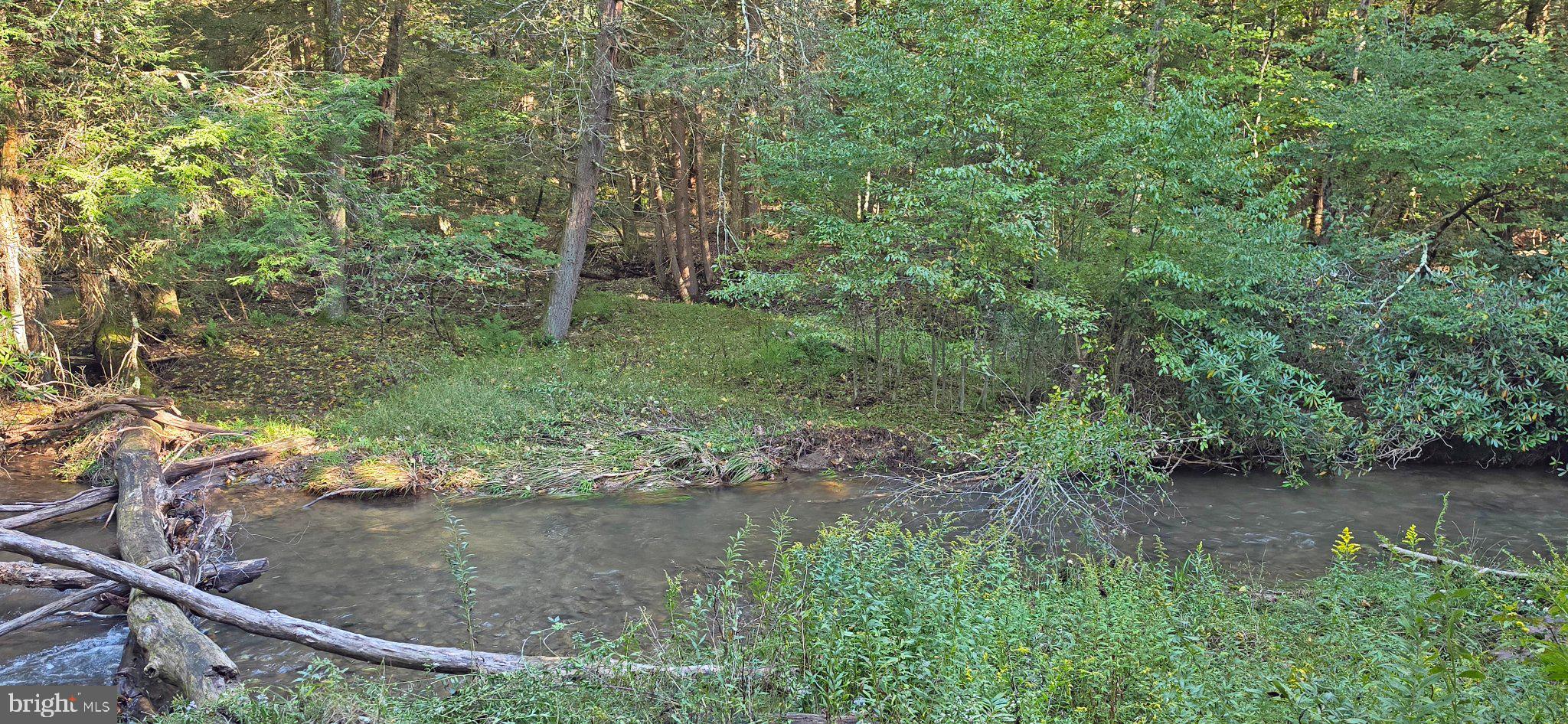 1 Rabbit Hollow Road Accident, MD 21520 - Photo 16 of 31 Gallery Image 16