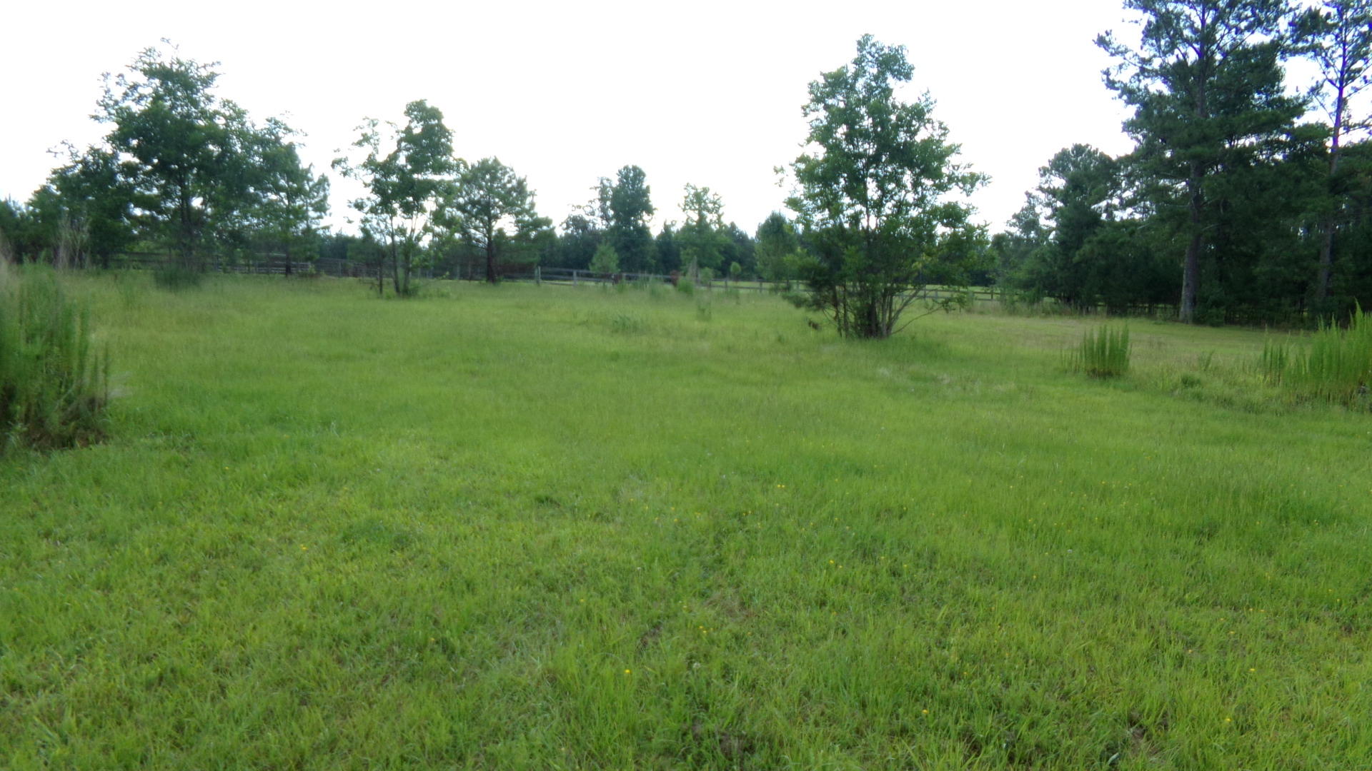 173 Sandy Oak Road Carthage, NC 28327 - Photo 4 of 5 101_4035