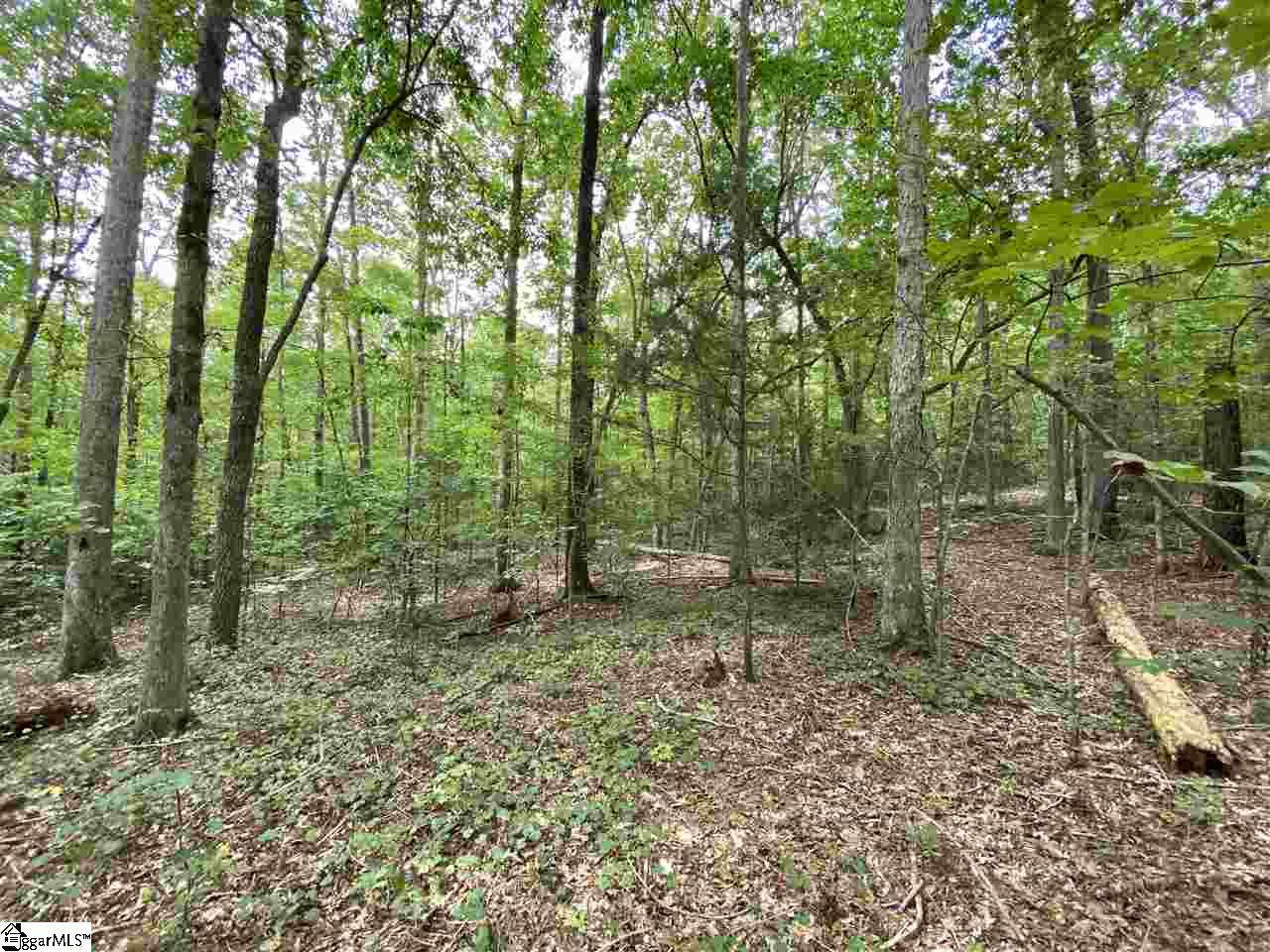 320 New Harrison Bridge Road Simpsonville, SC 29680 - Photo 11 of 12
