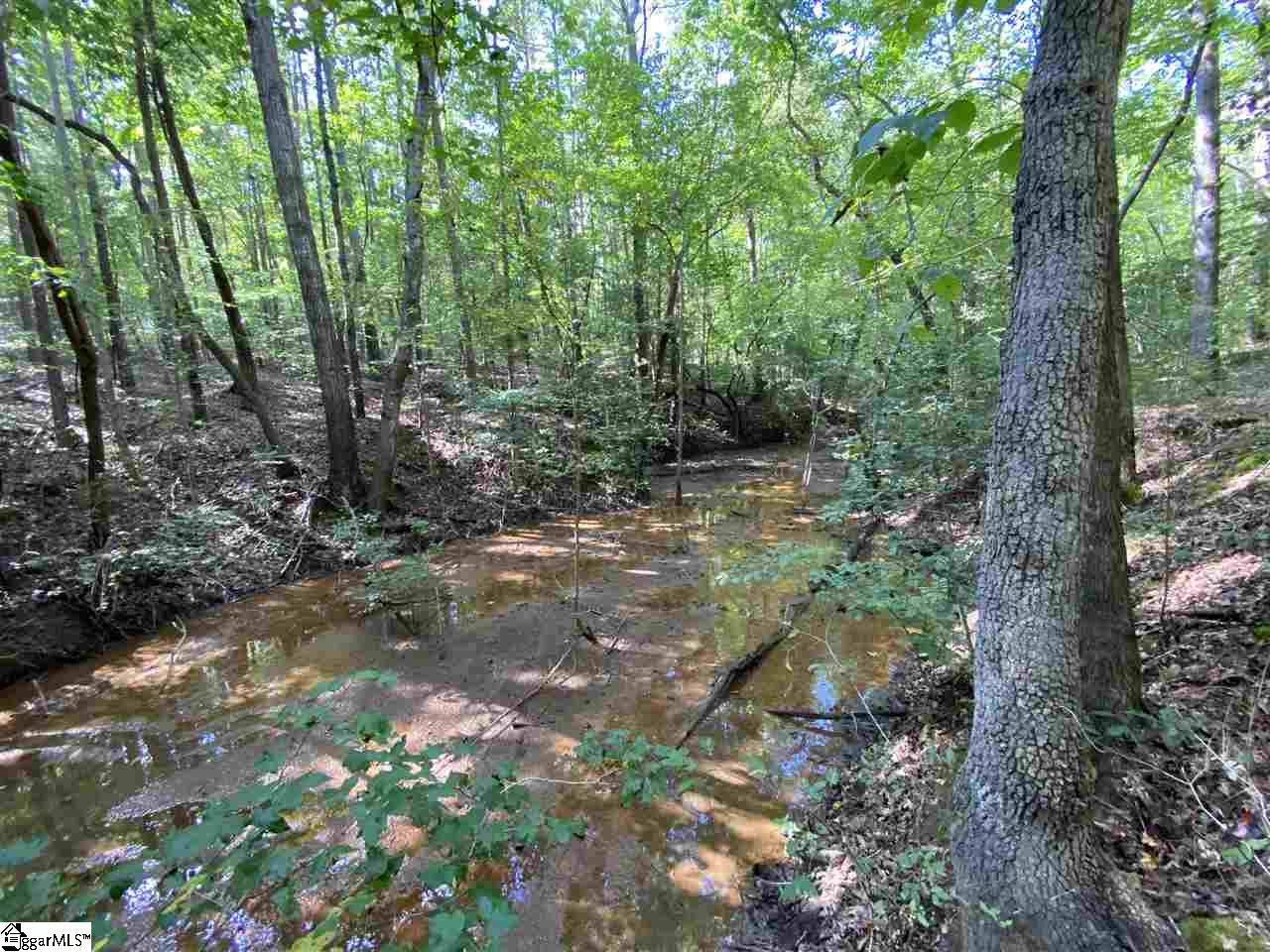 320 New Harrison Bridge Road Simpsonville, SC 29680 - Photo 4 of 12