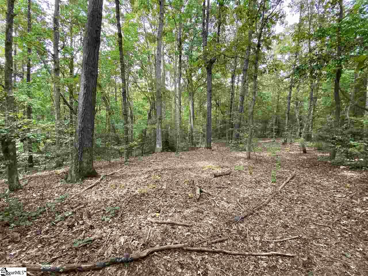 320 New Harrison Bridge Road Simpsonville, SC 29680 - Photo 6 of 12