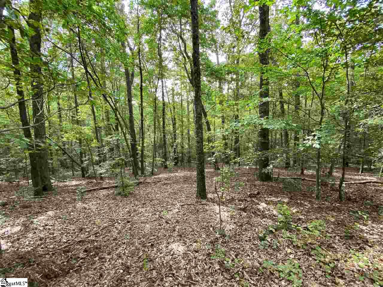 320 New Harrison Bridge Road Simpsonville, SC 29680 - Photo 7 of 12