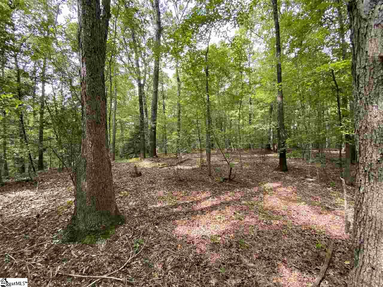 320 New Harrison Bridge Road Simpsonville, SC 29680 - Photo 8 of 12