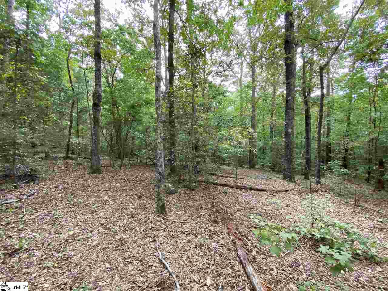320 New Harrison Bridge Road Simpsonville, SC 29680 - Photo 9 of 12