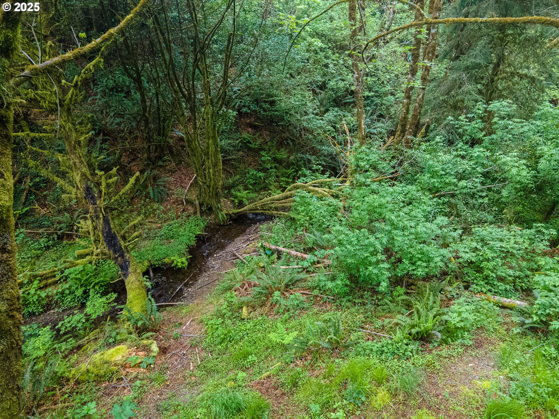 Elk River Road Port Orford, OR 97465 - Photo 4 of 22 Gallery Image 4