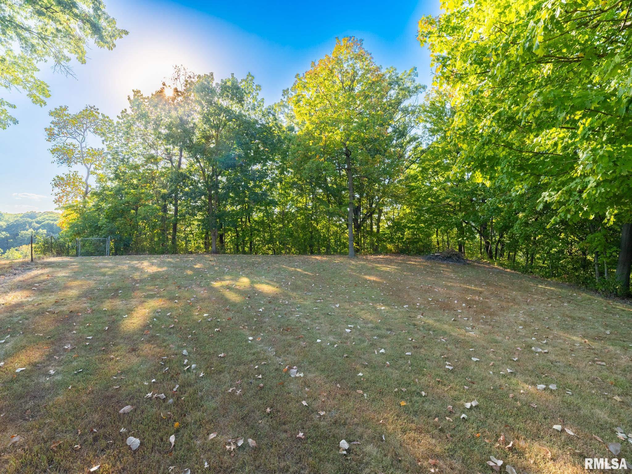 1406 Springfield Road East Peoria, IL 61611 - Photo 46 of 65 Gallery Image 46