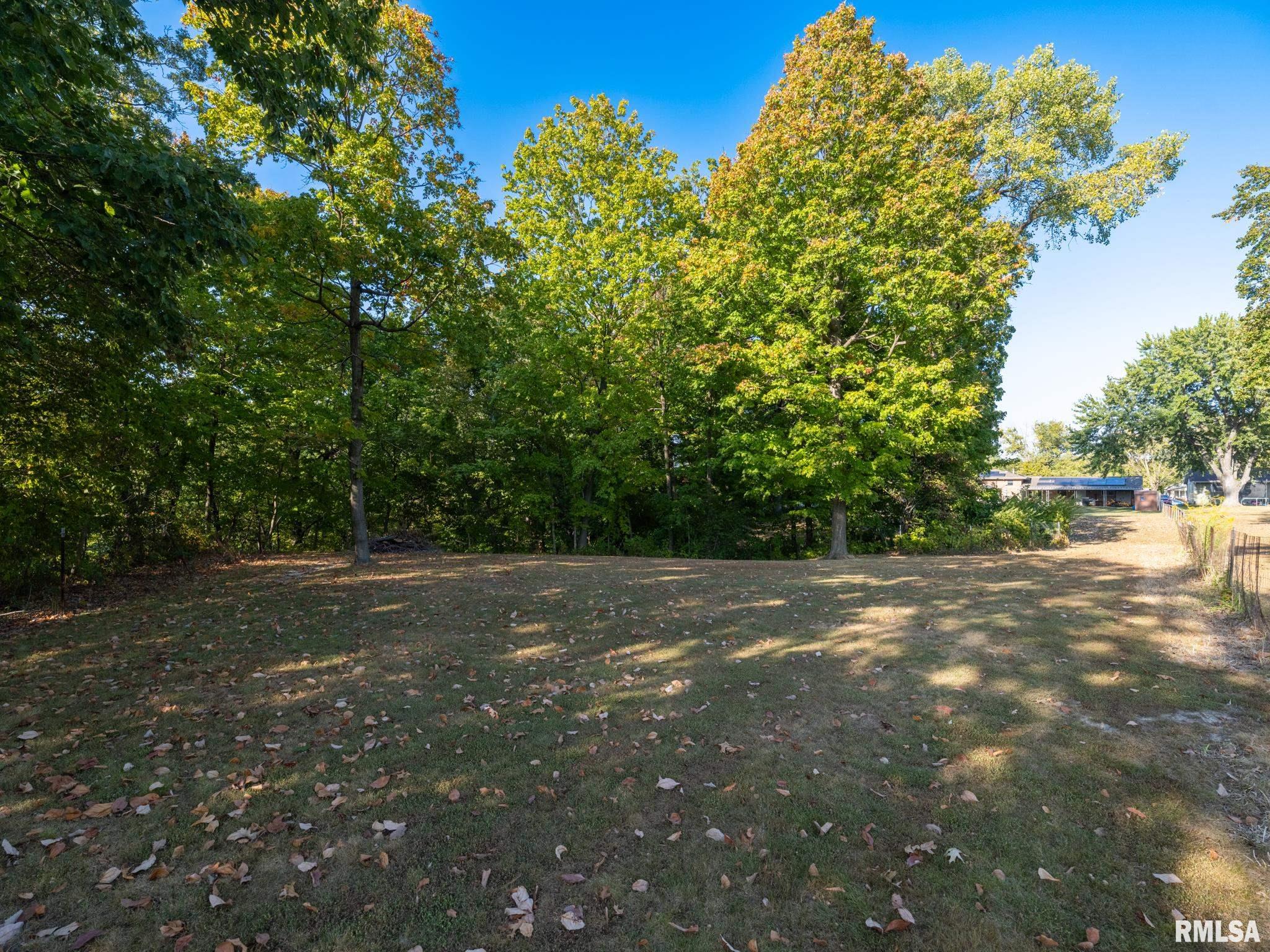 1406 Springfield Road East Peoria, IL 61611 - Photo 49 of 65 Gallery Image 49