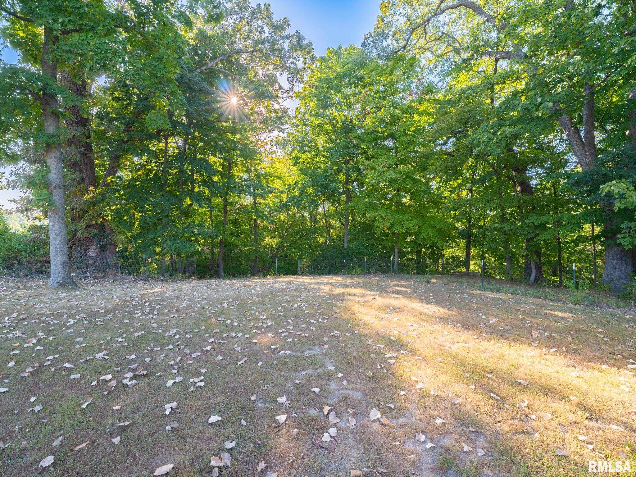 1406 Springfield Road East Peoria, IL 61611 - Photo 50 of 65 Gallery Image 50