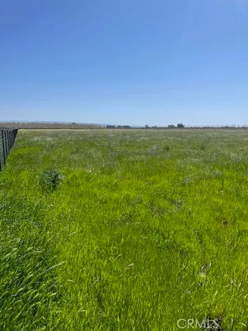 a view of an ocean from a big yard