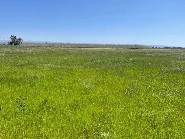 a view of a grassy field with trees in the background