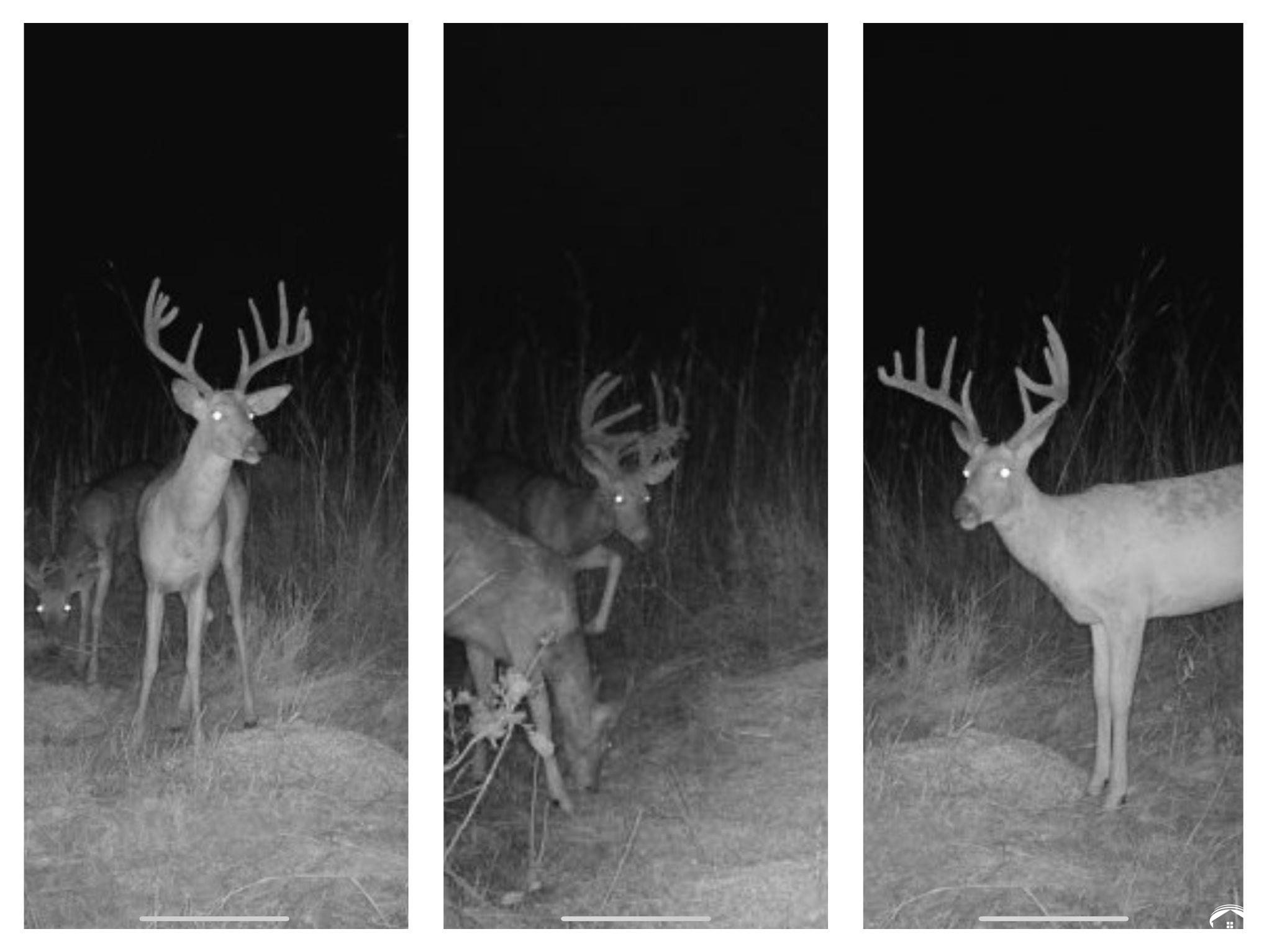 820 East 1000th Road Lawrence, KS 66047 - Photo 60 of 63