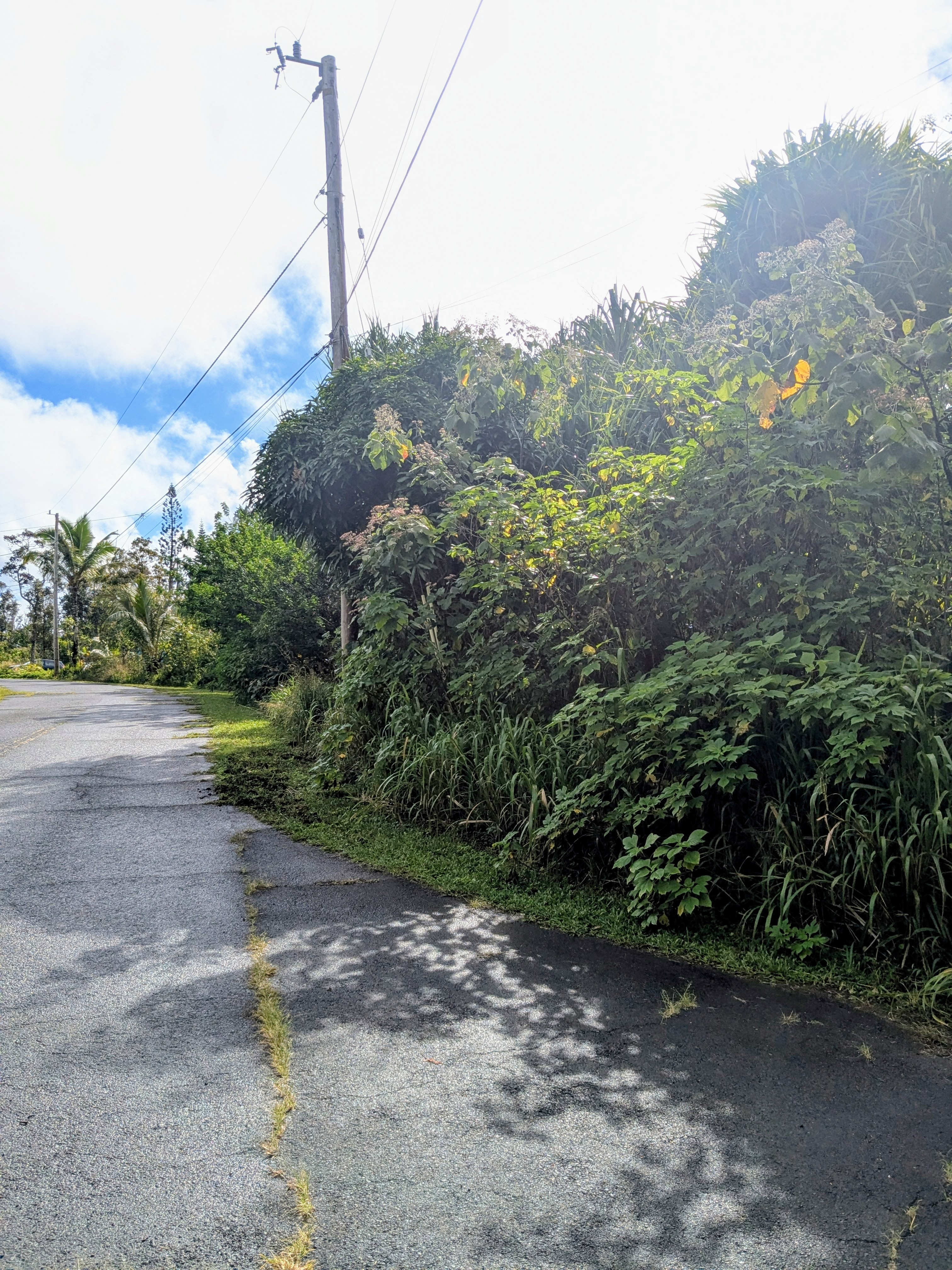 61 Lot Pahoa, HI 96778 - Photo 1 of 8 a view of a road with a tree in the background