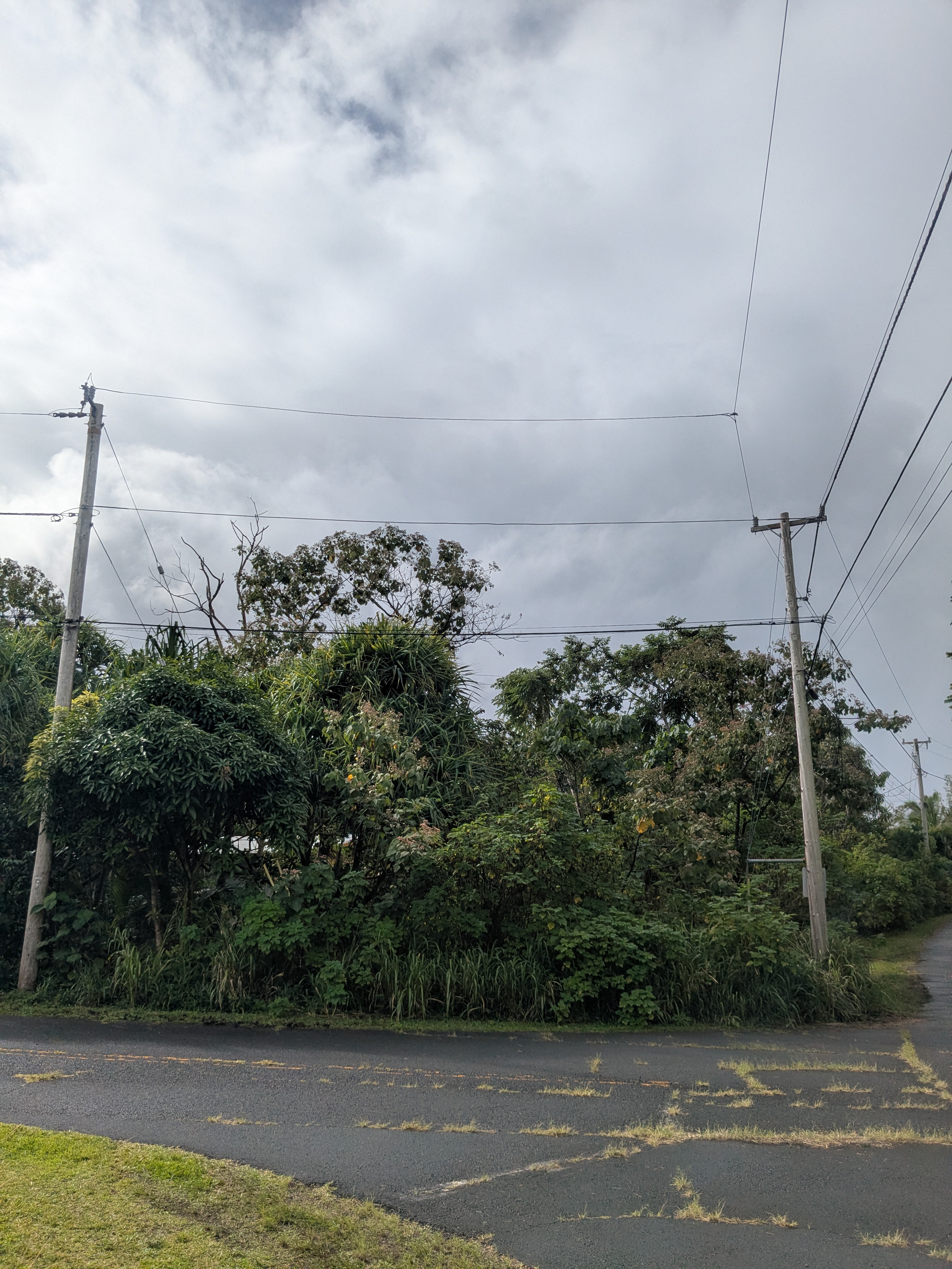 61 Lot Pahoa, HI 96778 - Photo 7 of 8 a view of a yard
