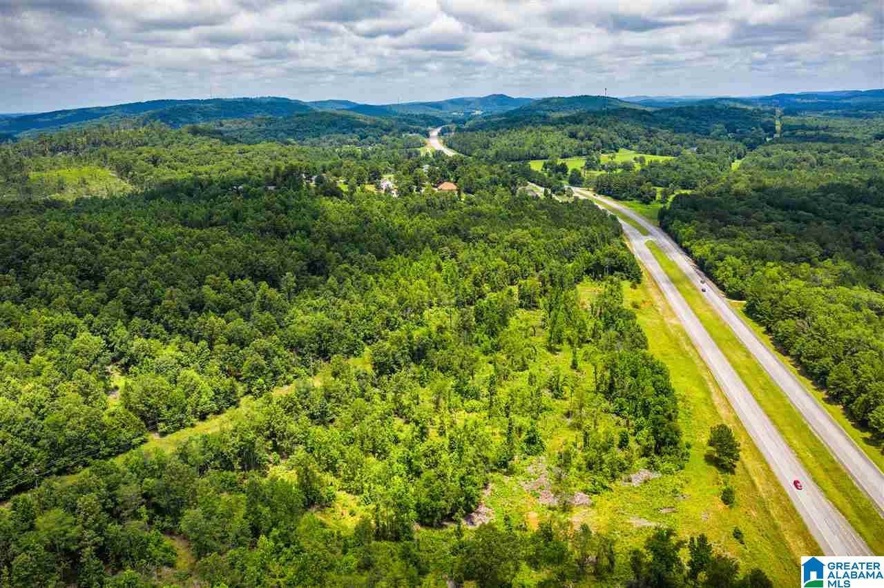 0 Highway 75, Unit 5032 Oneonta, AL 35121 - Photo 7 of 18