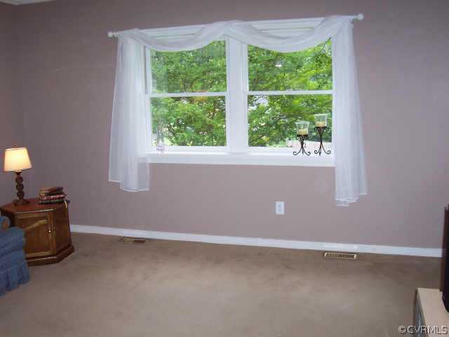 2625 Beaver Falls Road Midlothian, VA 23112 - Photo 2 of 7 Other - Living Room with skylights, picture window