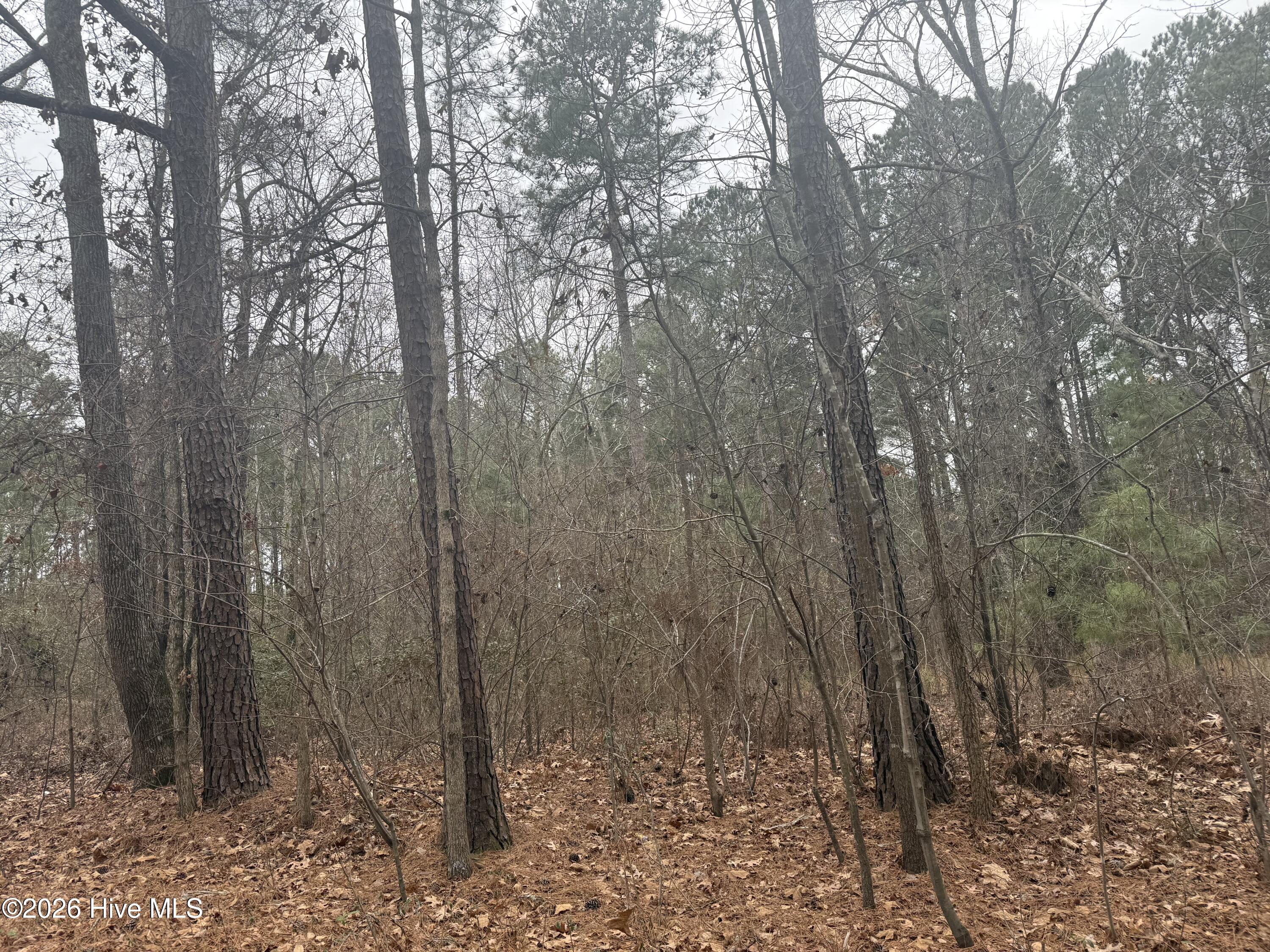 474 Stanton Hill Road Carthage, NC 28327 - Photo 2 of 3 Road Front